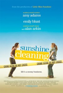 sunshine cleaning poster