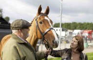 Movie Review: ‘Dark Horse’