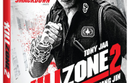 Blu-ray Review: ‘Kill Zone 2’