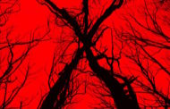 Movie Review: ‘Blair Witch’